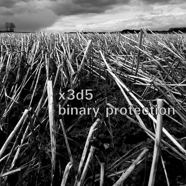 [SBWS033] x3d5 - Binary Protection